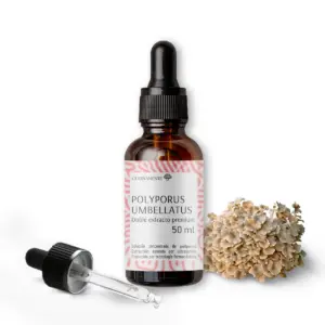 POLYPORUS - Extracto Premium 50ml